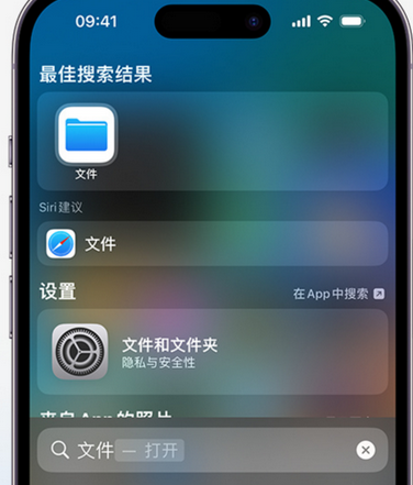 彭场镇apple维修中心分享iPhone文件应用中存储和找到下载文件 