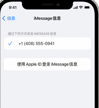 彭场镇apple维修iPhone上无法正常发送iMessage信息 