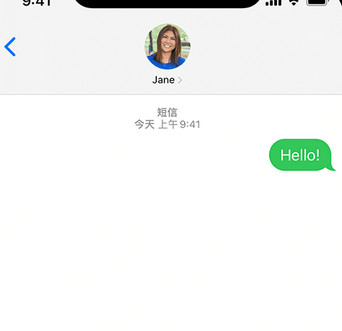 彭场镇apple维修iPhone上无法正常发送iMessage信息