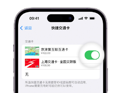 彭场镇apple维修点分享iPhone上更换Apple Pay快捷交通卡手绘卡面 