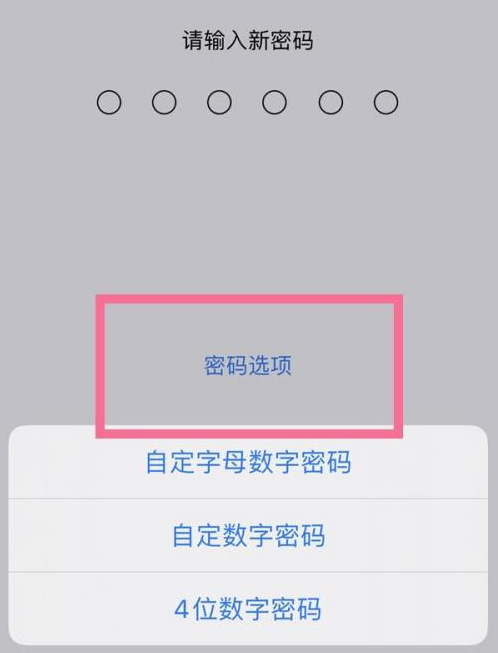 彭场镇苹果14维修分享iPhone 14plus设置密码的方法 