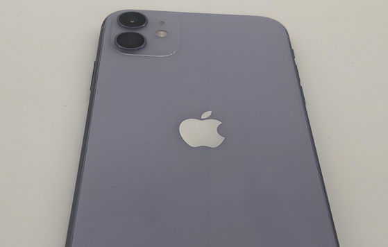 彭场镇苹果11系统维修分享iPhone11手机系统崩溃无法开机如何解决 