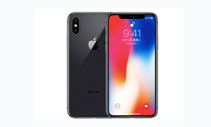彭场镇苹果手机维修分享iPhone X换电池 